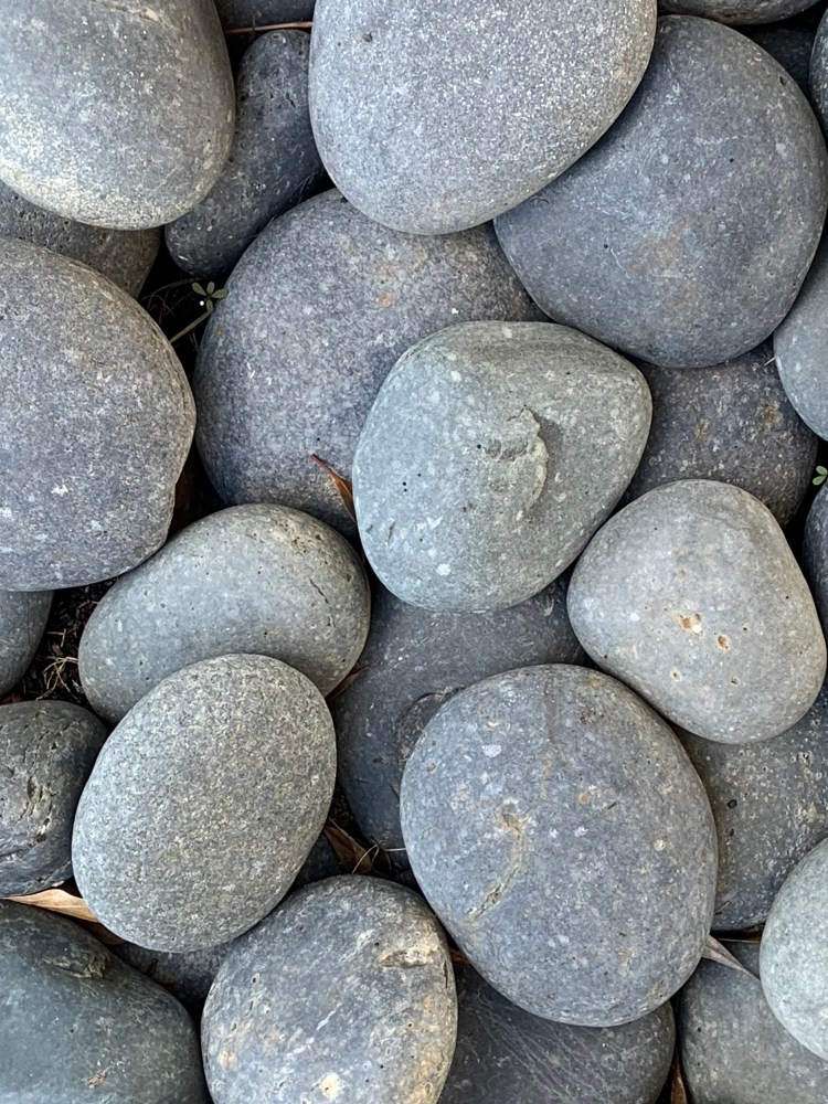 25CFB340-F298-48EA-884B-05F2B64AC262