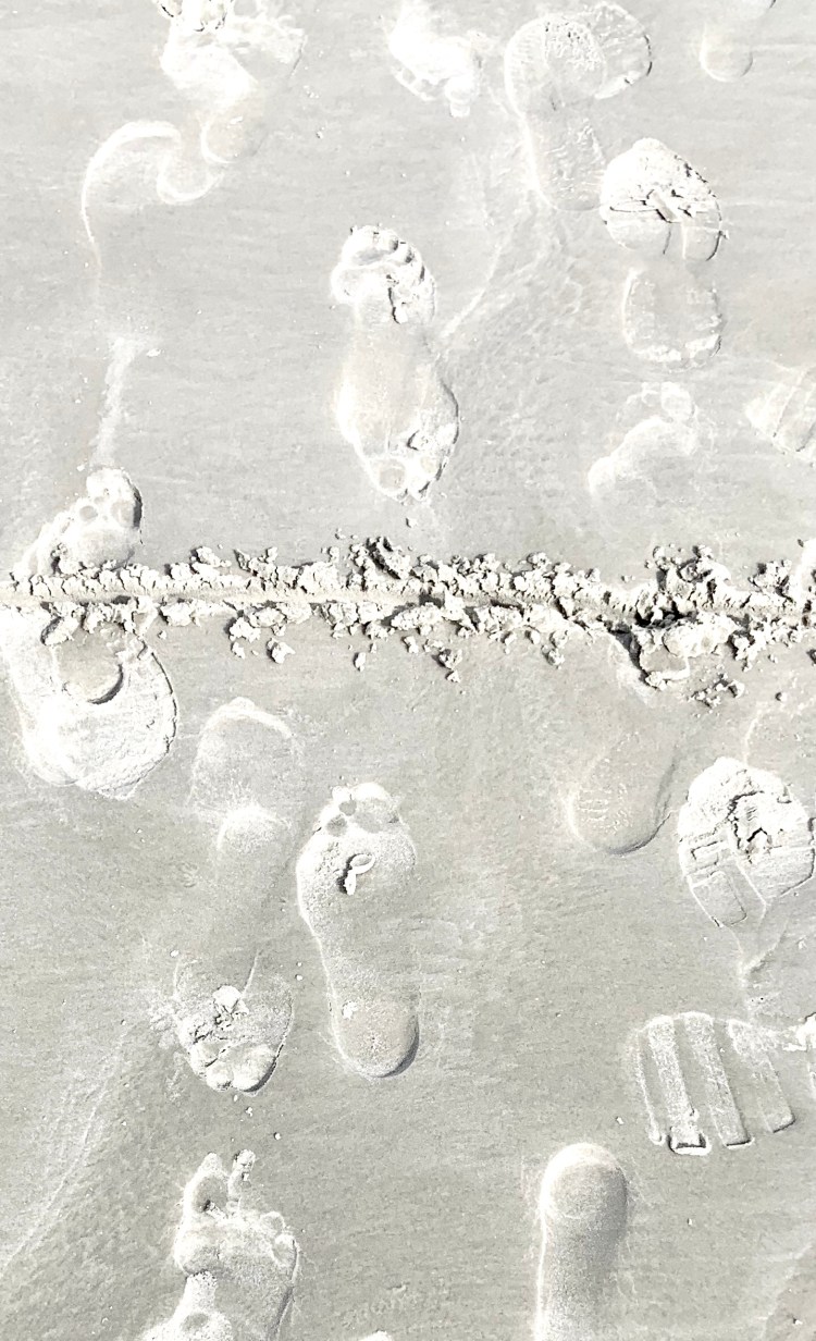 BA6CE331-1690-4C89-9D48-FA96D9B4F7E2