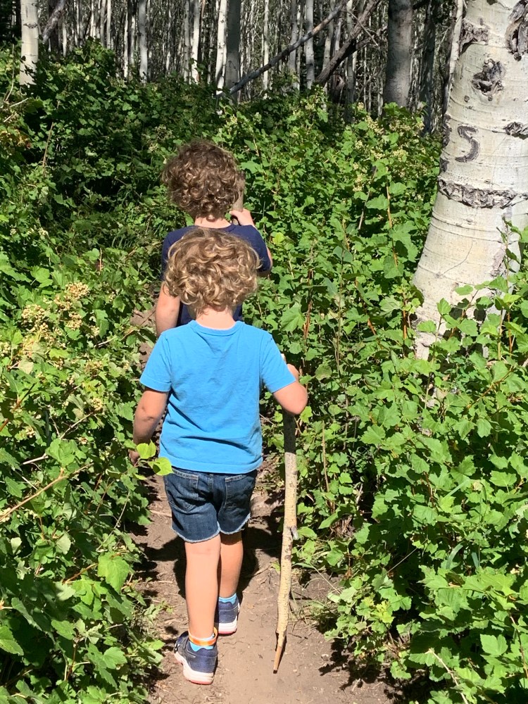 F9EDAA83-7A94-469A-A698-C0B3B3E4826D