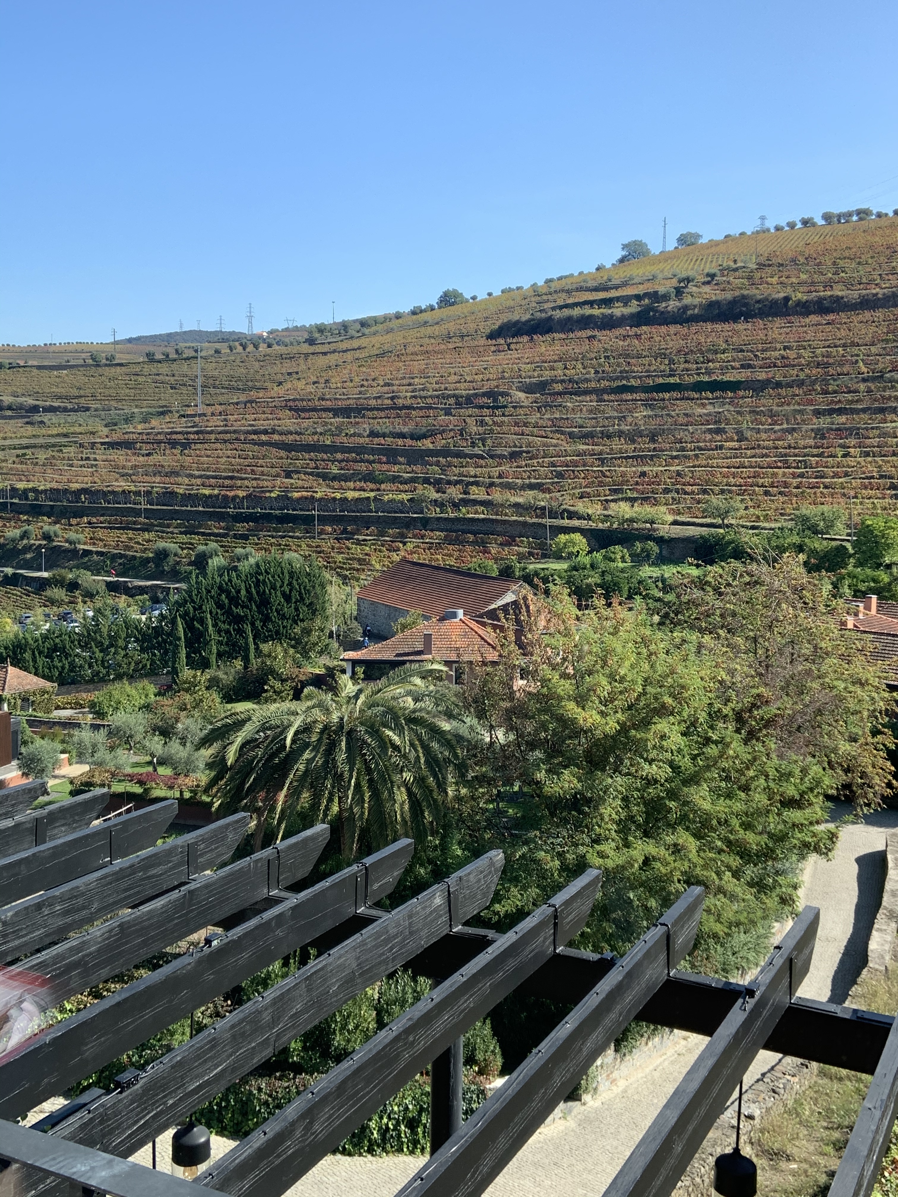 5DD37423-4061-4E3B-A6C4-5A3286E52E32